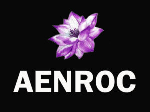 AENROC Perfumes